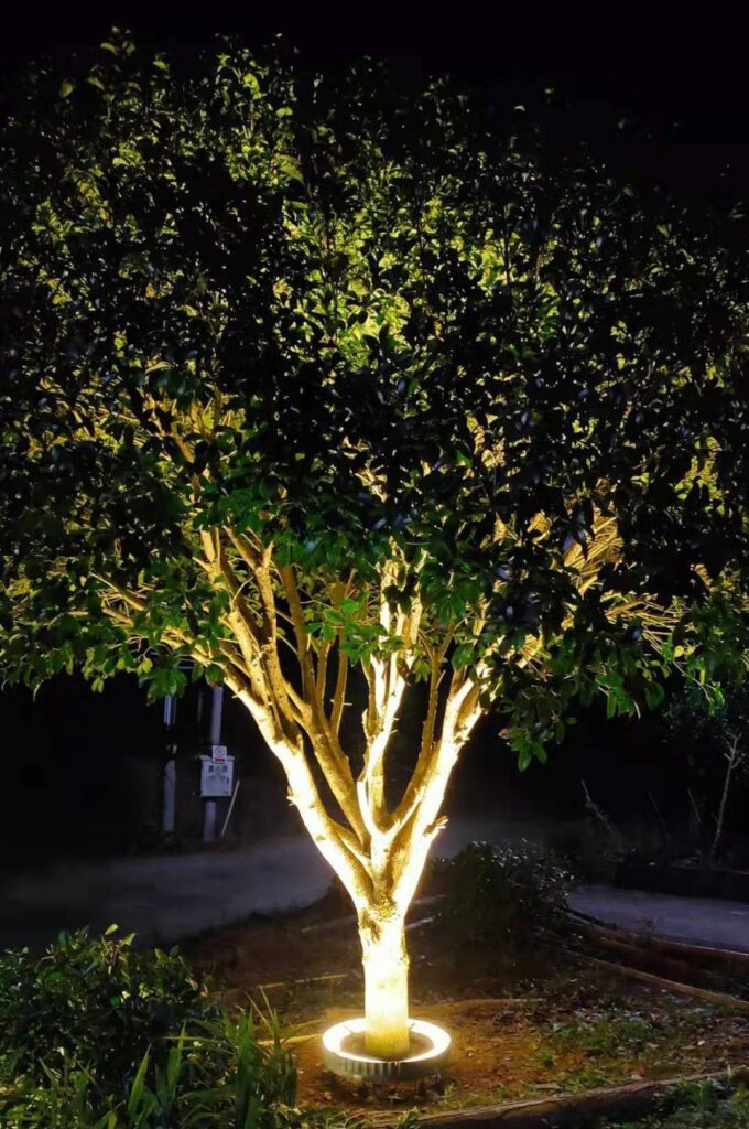 outdoor lighting ideas