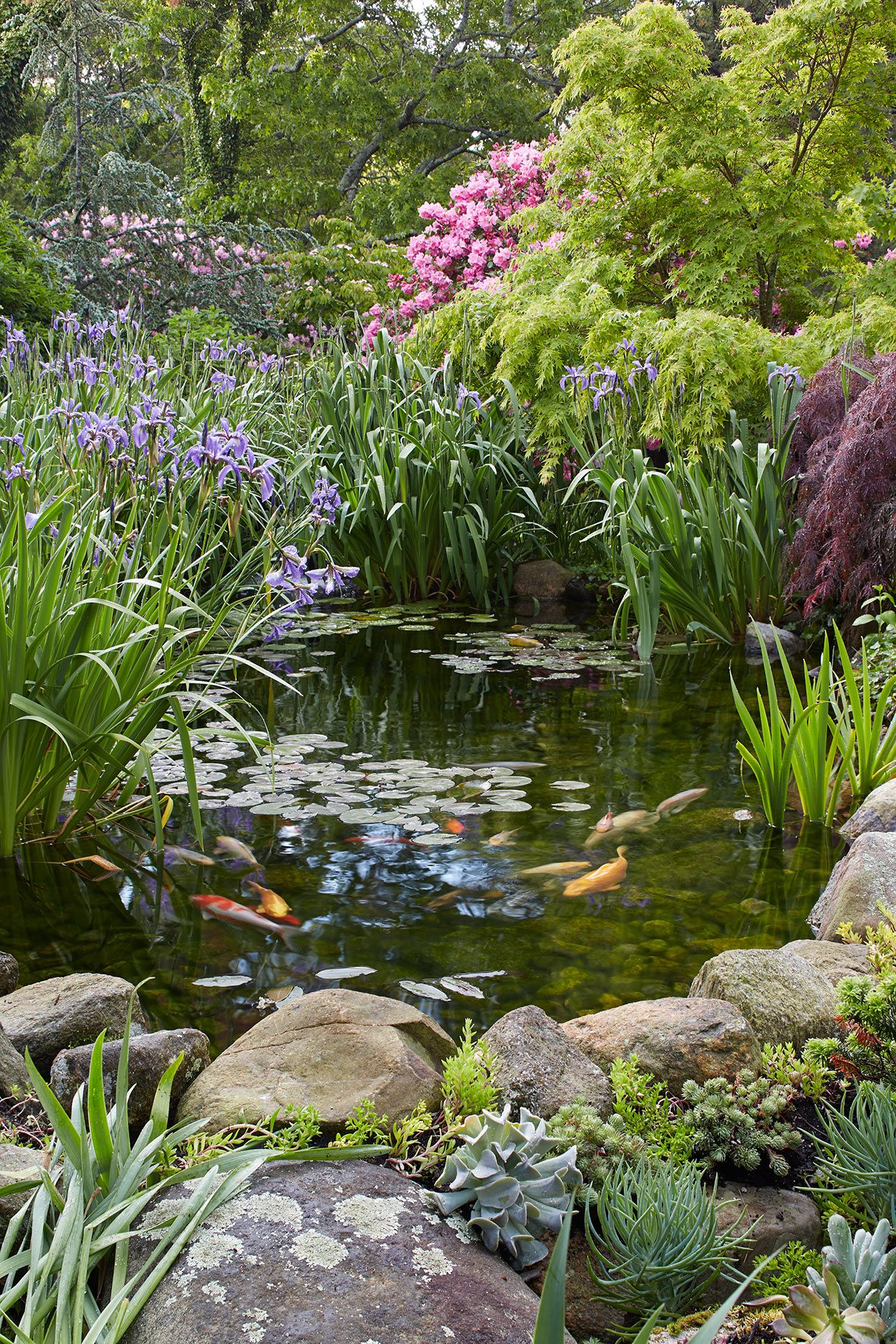 Creating a Tranquil Oasis: The Beauty of Garden Ponds