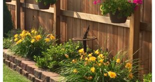 small backyard landscaping ideas