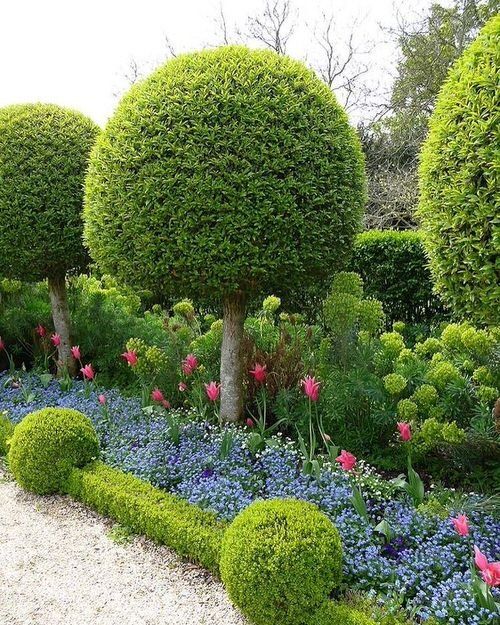 The Art of Formal Garden Design