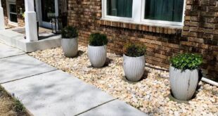 minimalist front yard landscaping