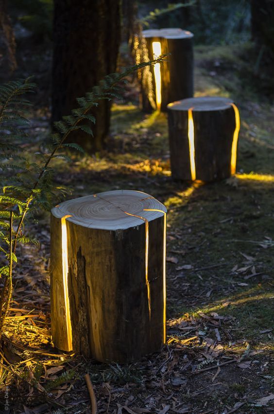 Illuminate Your Garden with Magical Lights