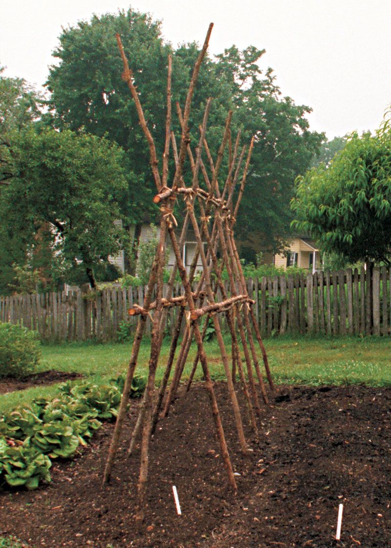 Enhance Your Garden with Beautiful Trellises