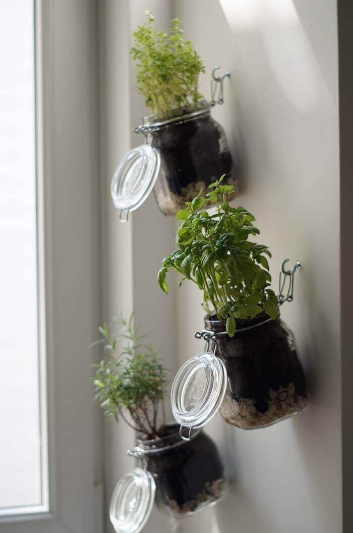 Creating Your Own Herb Garden Planter: A Fun and Easy DIY Project