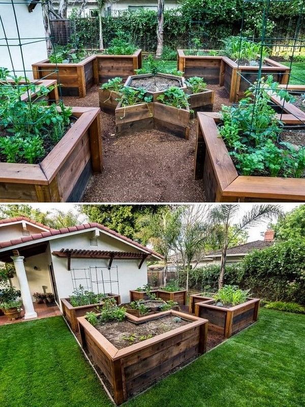 Creative Layout Ideas for Raised Garden Beds
