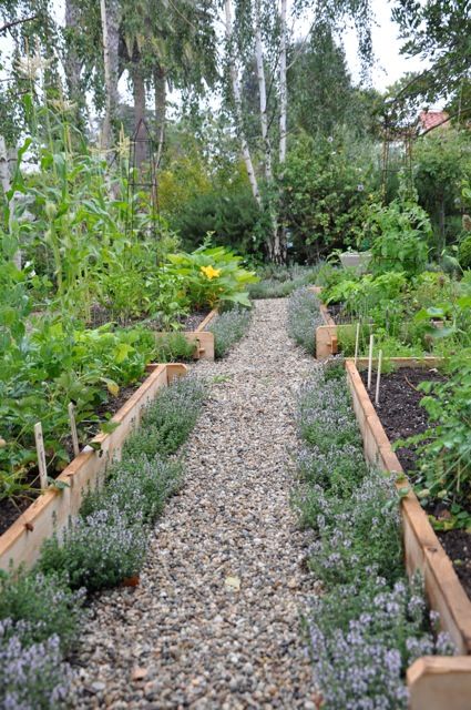 Creating a Lush and Bountiful Raised Garden