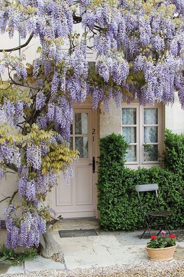 Charming Cottage Garden Design Ideas