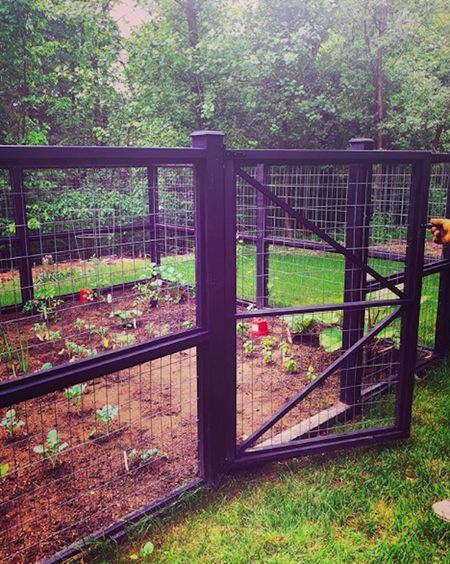 Creative Garden Fencing Designs to Enhance Your Outdoor Space