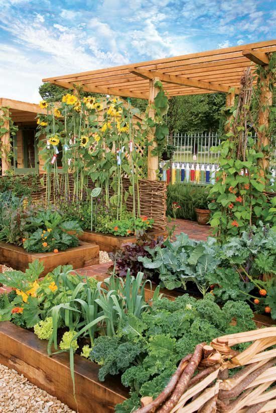 Creative Ways to Design Your Vegetable Garden