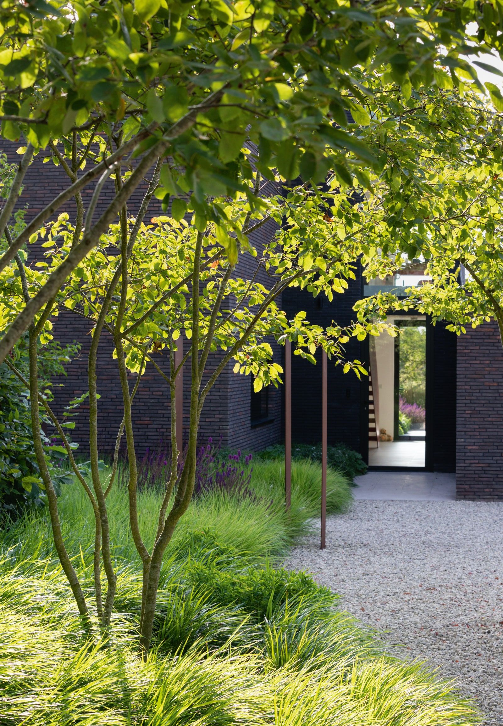 The Evolution of Contemporary Gardens