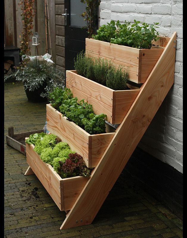 The Benefits of Raised Garden Beds for Your Plants