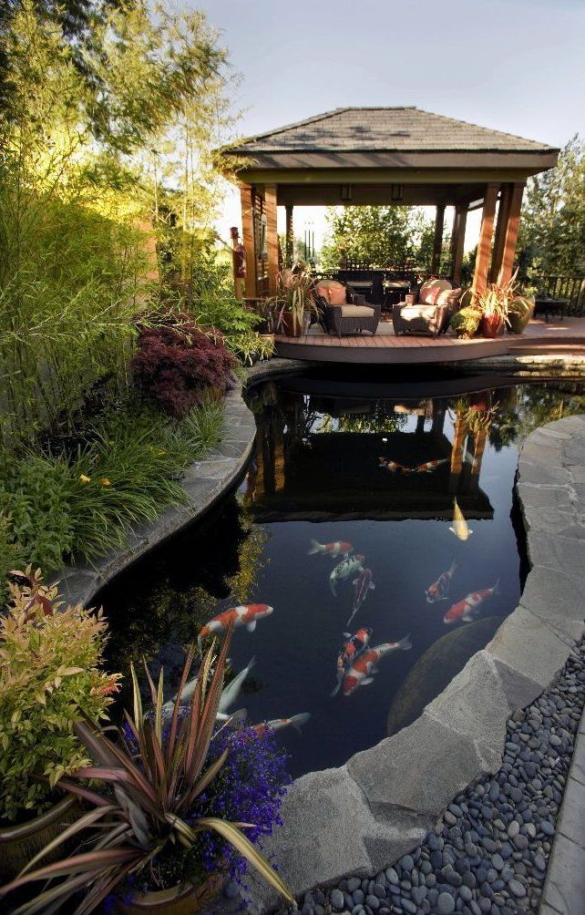 backyard ponds