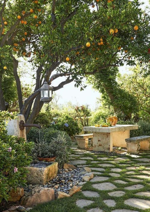 The Art of Creating a Beautiful Home Garden