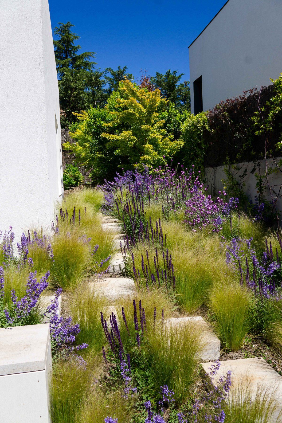 The Beauty of Contemporary Gardens