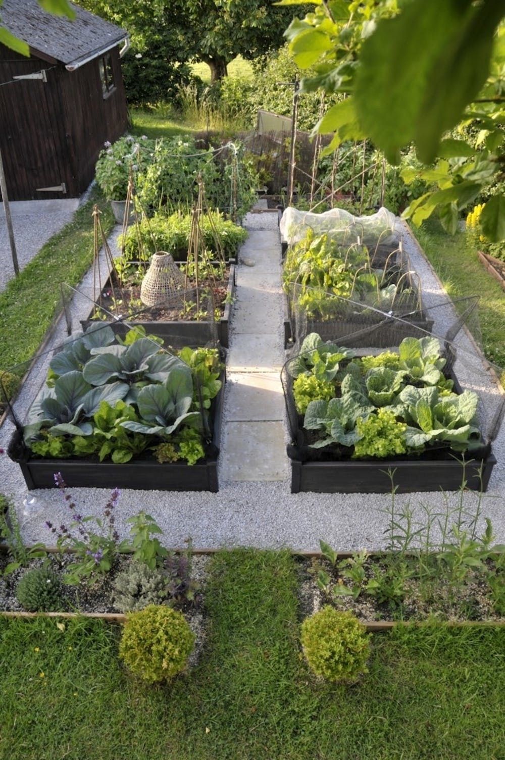 The Benefits of Raised Garden Beds for Your Plants