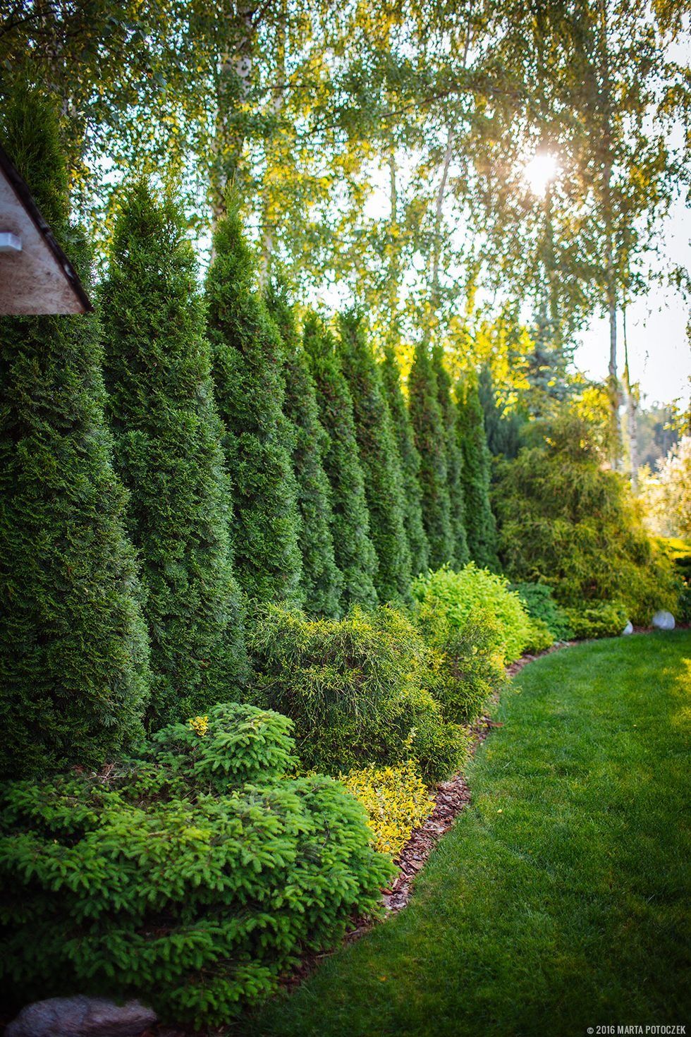 The Beauty and Benefits of Garden Hedges