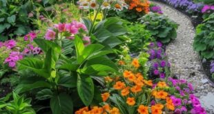 front yard flower garden ideas