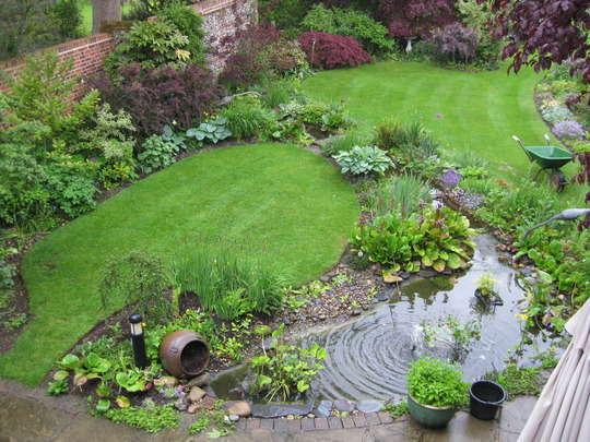 The Beauty of Garden Ponds: A Tranquil Oasis for Your Outdoor Space