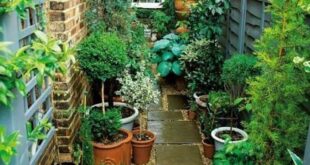 small side yard ideas