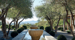 garden fountain