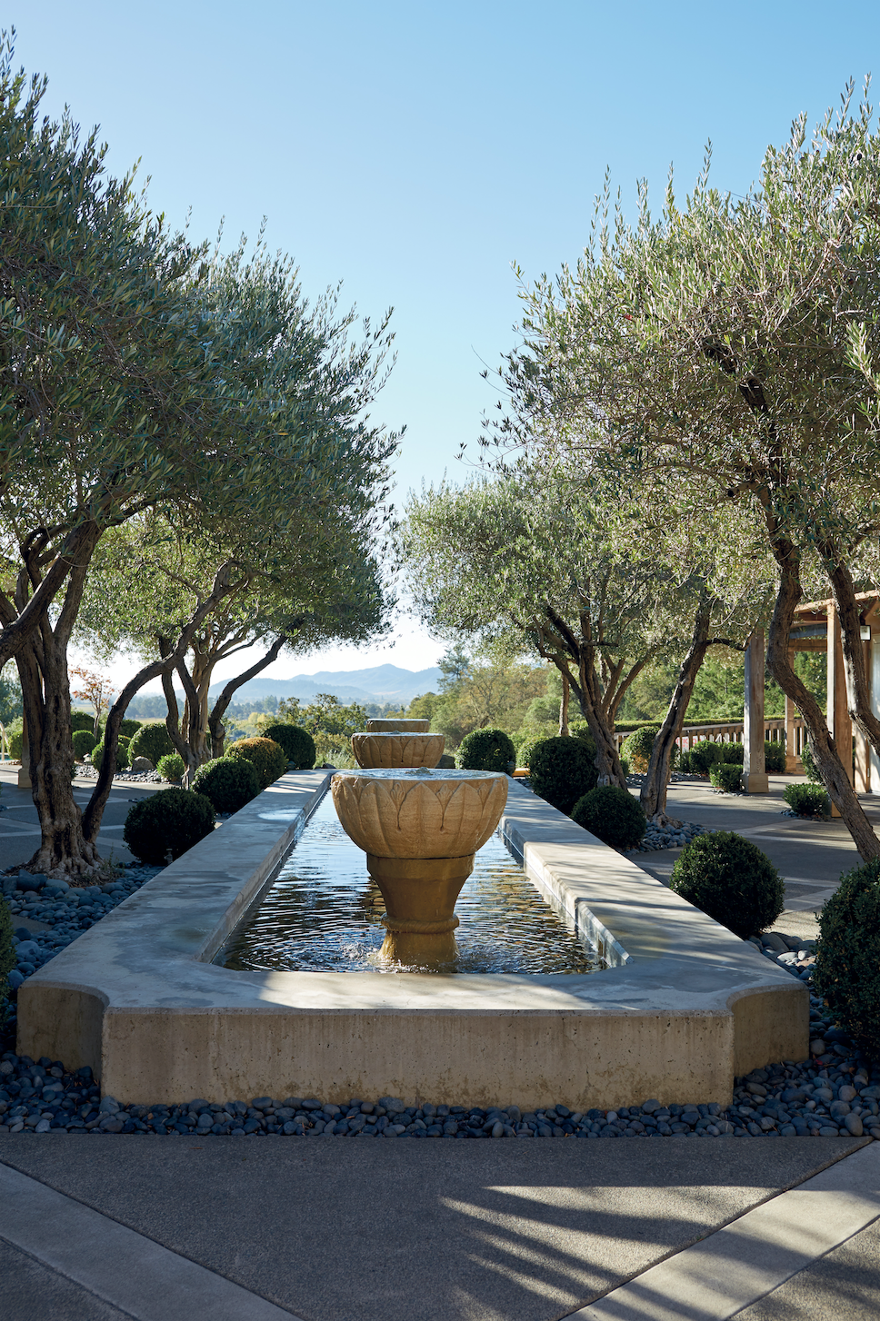The Serene Beauty of Garden Fountains