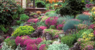 rock garden design