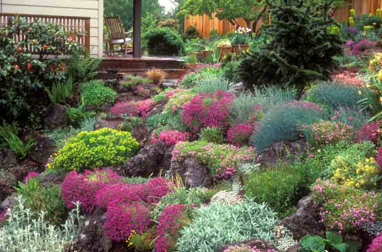 rock garden design