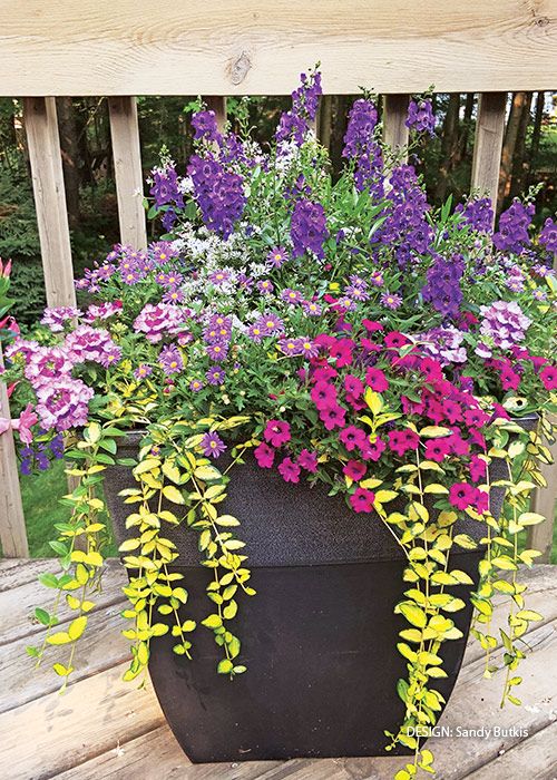 Creative Ways to Design Your Container Garden