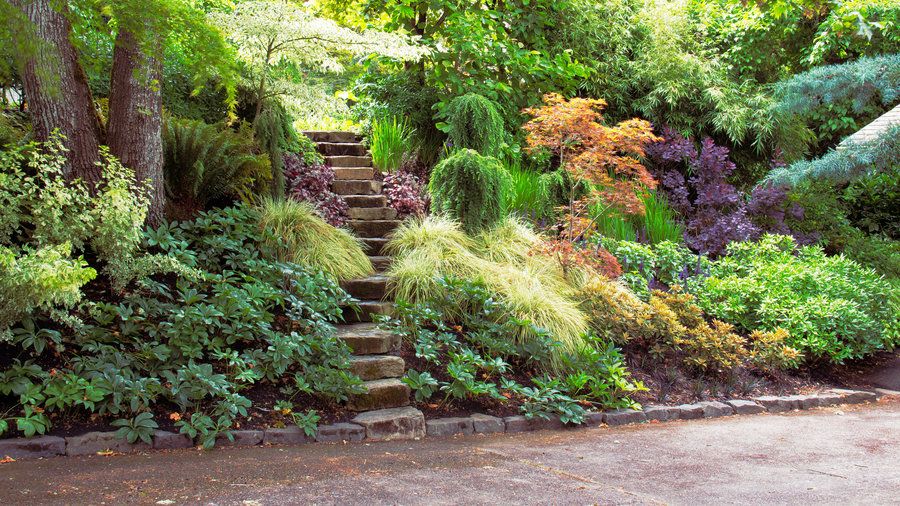 Creative Ways to Transform a Sloped Garden