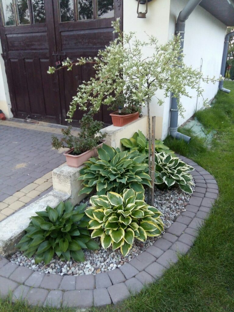 small garden in front of house