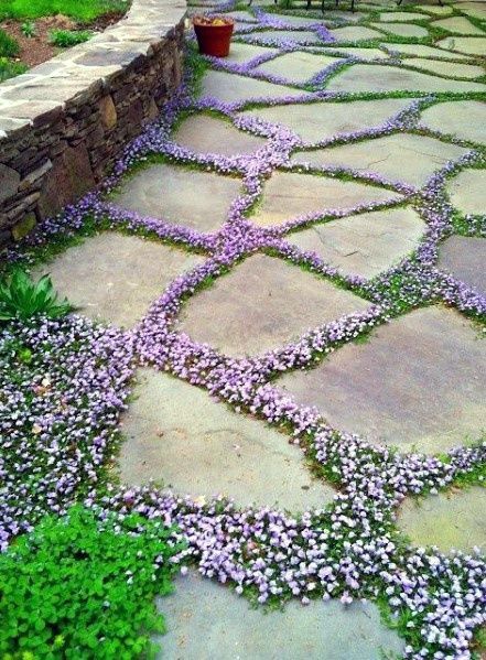 The Beauty of Landscaping Stones: Enhancing Your Outdoor Space