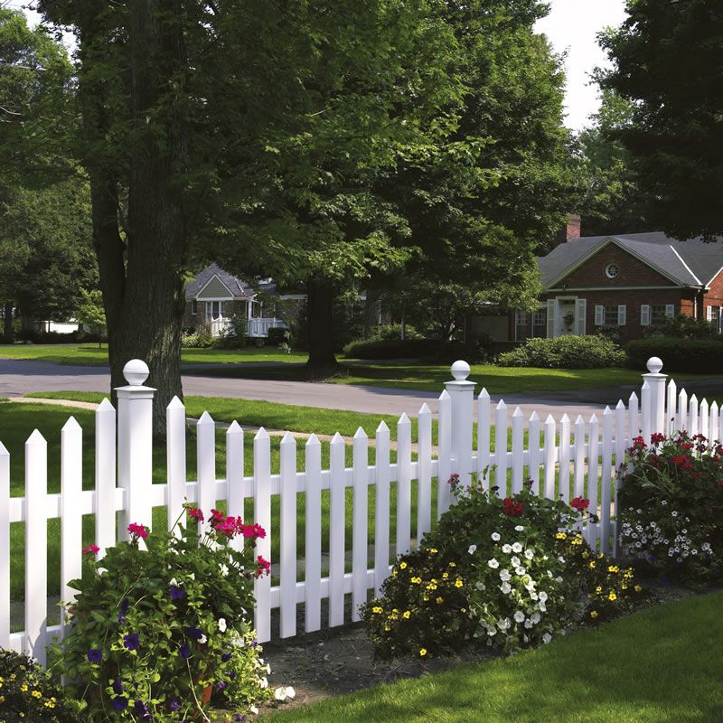 Charming Picket Fence Designs for Your Home