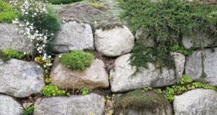 retaining wall ideas