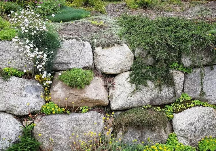 Creative Solutions for Building Retaining Walls