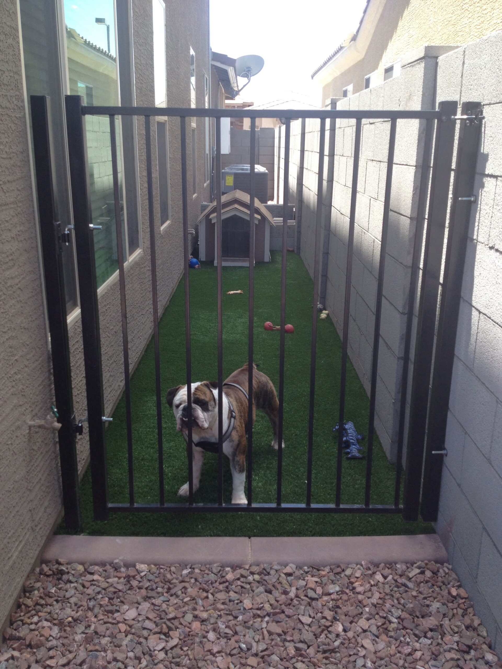 Creating a Spacious Dog Run in Your Side Yard