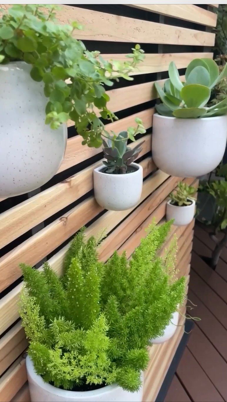 Creating a Stunning Vertical Garden with Planter Walls