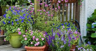 container garden ideas