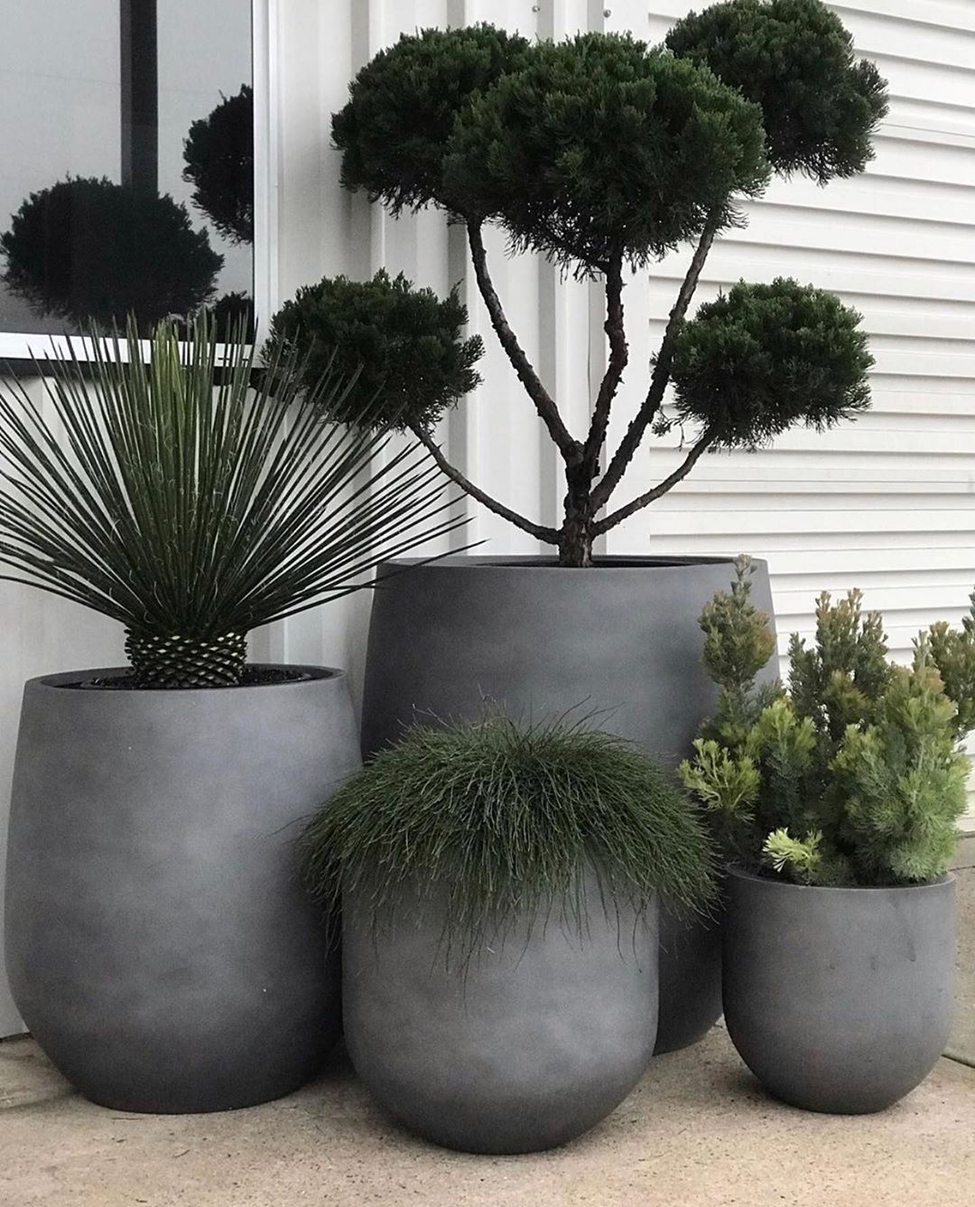 Creating a Beautiful Outdoor Oasis with Potted Plants