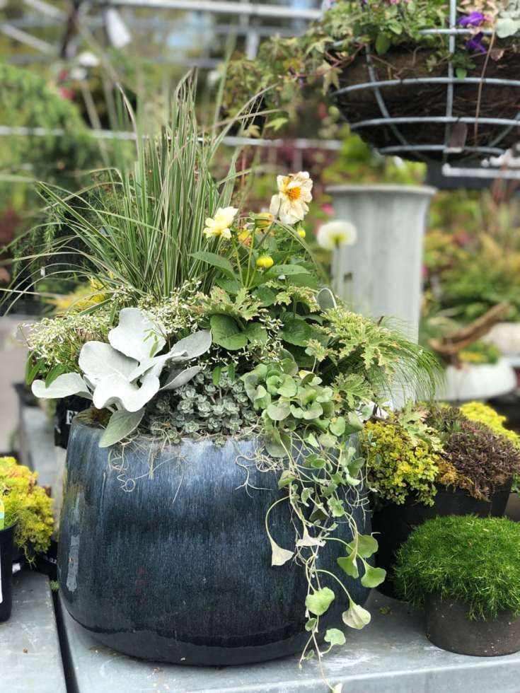 Creative Container Gardening Ideas for Your Outdoor Space