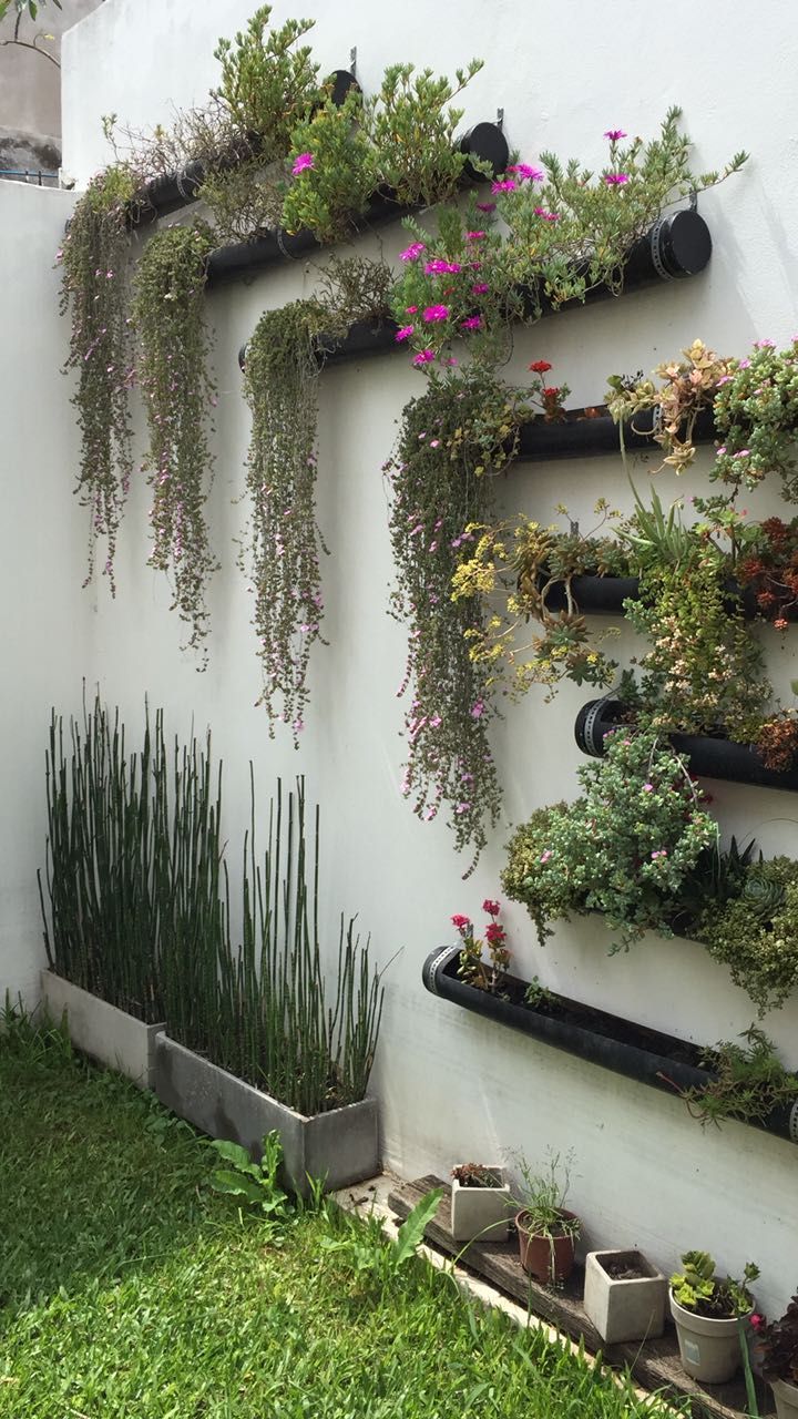 Creating a Stunning Vertical Garden with Planter Walls