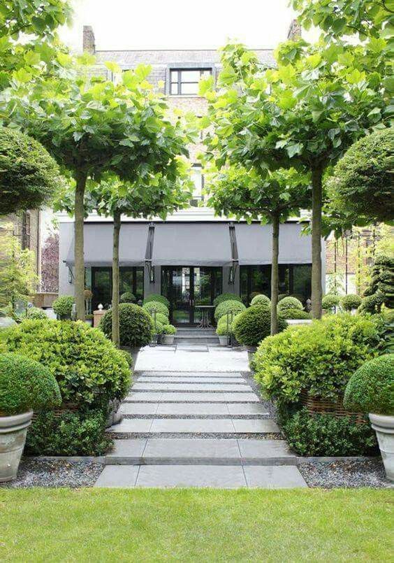 The Beauty of Contemporary Gardens