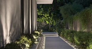 modern landscaping