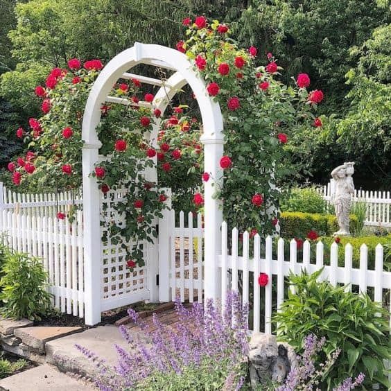 Charming Picket Fence Designs for Your Home