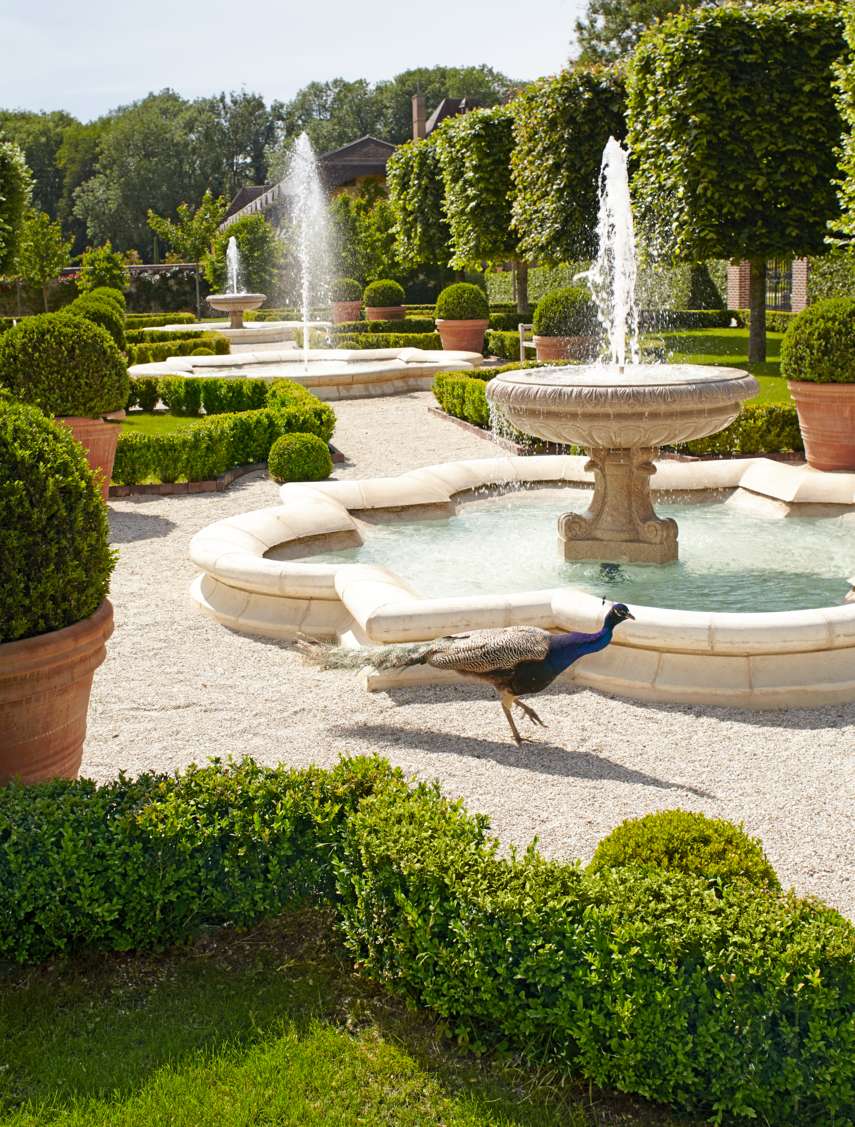 The Serene Beauty of Garden Fountains