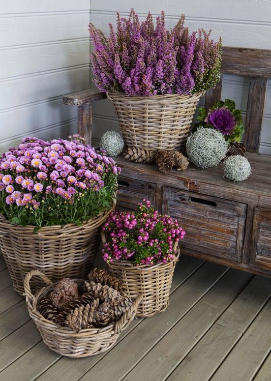 Creative Container Gardening Ideas for Your Outdoor Space