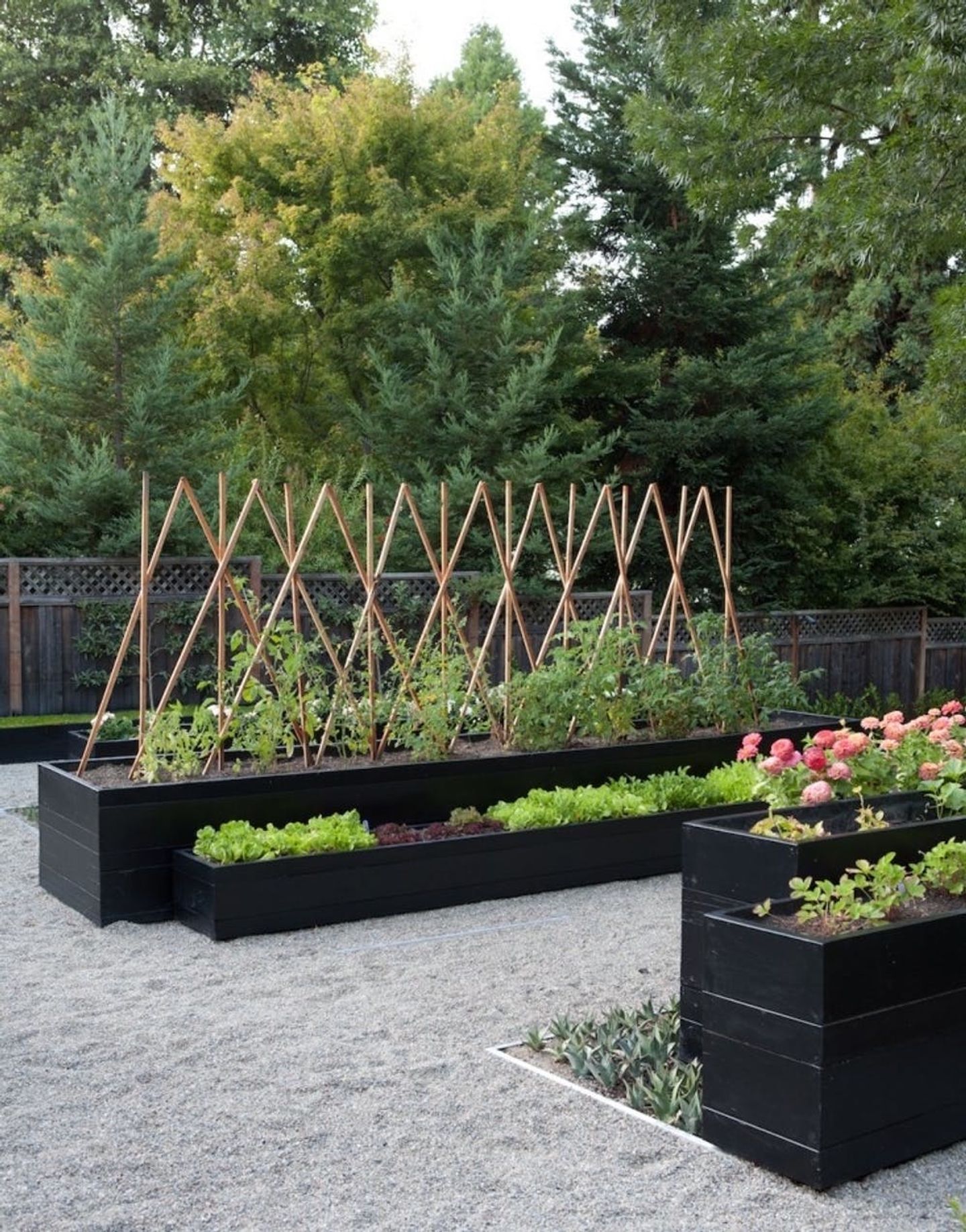 The Benefits of Raised Garden Beds