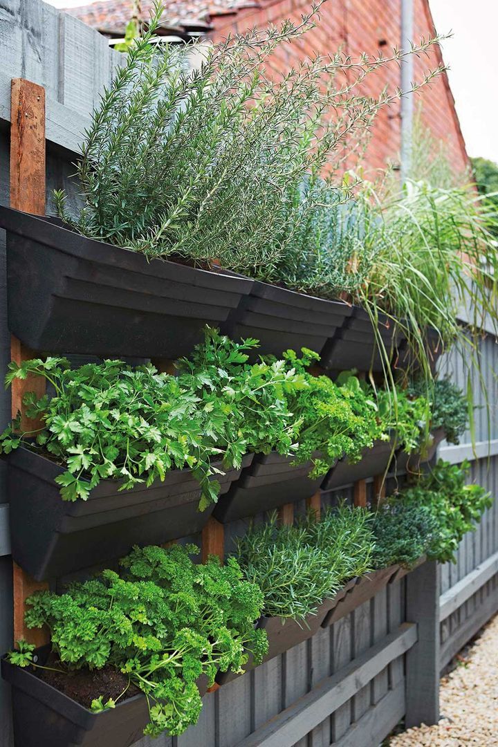 Creative Ways to Grow a Variety of Vegetables in Your Garden