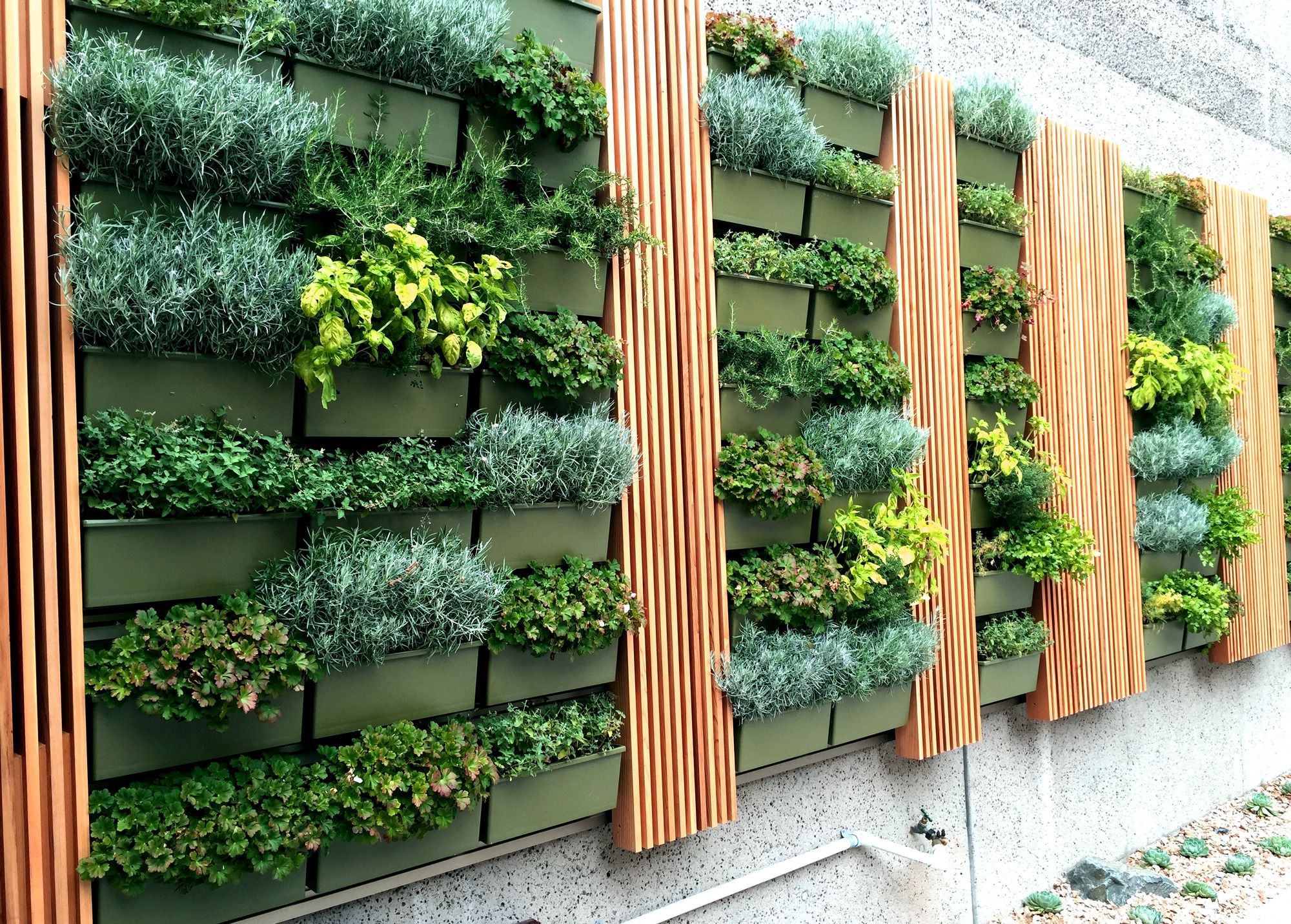Creating a Vertical Garden Oasis with Planter Walls