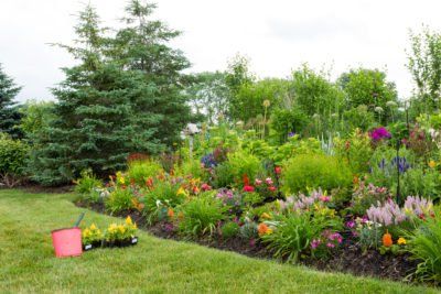 Creative Landscaping Ideas for Berm Design