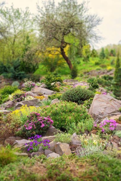 Creative Ways to Honor Loved Ones in a Memorial Garden